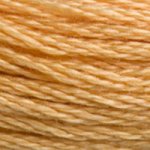 3827 - Pale Golden Brown