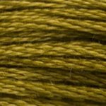 831 - Medium Golden Olive