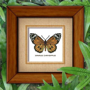 Butterfly Pattern 804