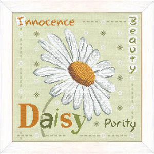 Daisy