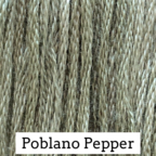 Poblano Pepper