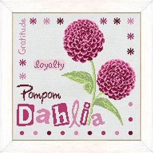 Pom Pom Dahlia