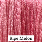 Ripe Melon